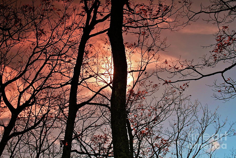 Blue Ridge Mountains Virginia Sunset II Photograph by Karen Jorstad