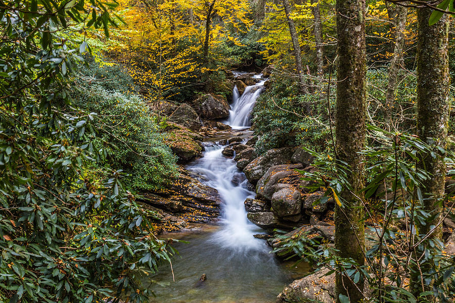 Skinny Dip Falls on the Blue Ridge Mountains Photograph by Donnie Whitaker