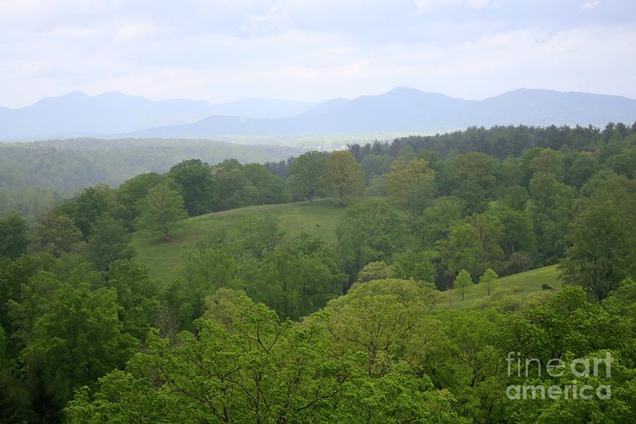Blue Ridge Mountains with Green Hills Photograph by Carol Groenen