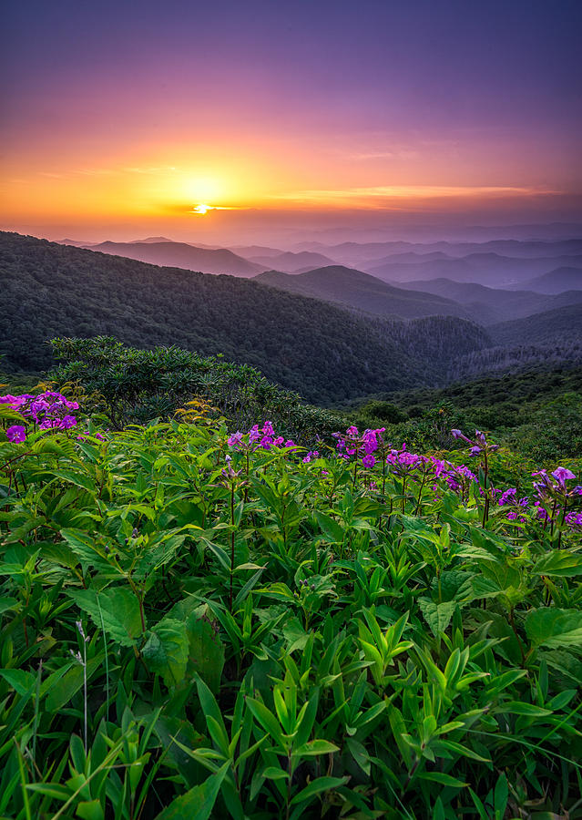 Craggy Gardens Photograph - Blue Ridge Parkway - Appalachian Charm by Jason Penland Craggy Gardens Photograph - Blue Ridge Parkway - Appalachian Charm by Jason Penland