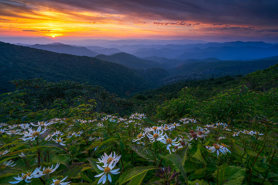 Craggy Gardens Photograph - Blue Ridge Parkway - Ashokan Farewell by Jason Penland Craggy Gardens Photograph - Blue Ridge Parkway - Ashokan Farewell by Jason Penland