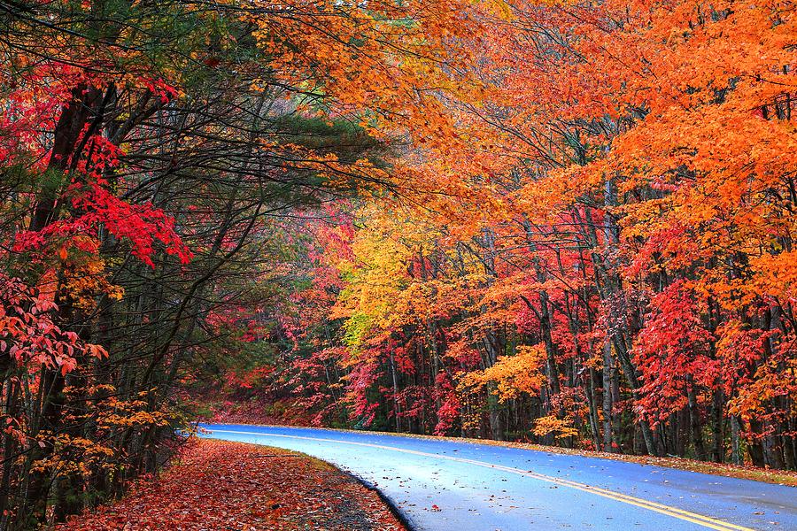 Blue Ridge Parkway Fall Photograph by Carol Montoya