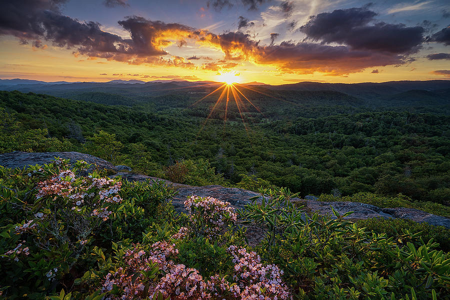 Blue Ridge Parkway Photograph - Blue Ridge Parkway - Mountain Laurel by Jason Penland Blue Ridge Parkway Photograph - Blue Ridge Parkway - Mountain Laurel by Jason Penland