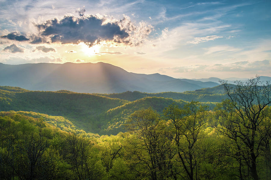 Blue Ridge Parkway NC A Mothers Light Photograph by Robert Stephens