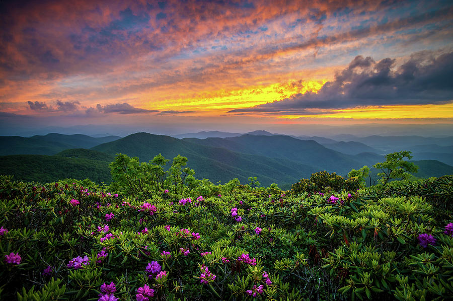 Blue Ridge Parkway NC Blooming Sunset Photograph by Robert Stephens