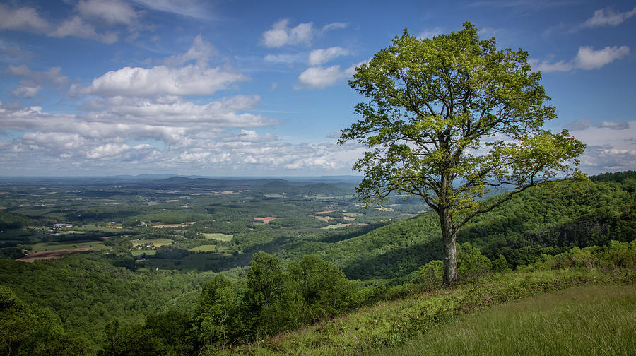 Blue Ridge Parkway Scenic View Photograph by James Woody