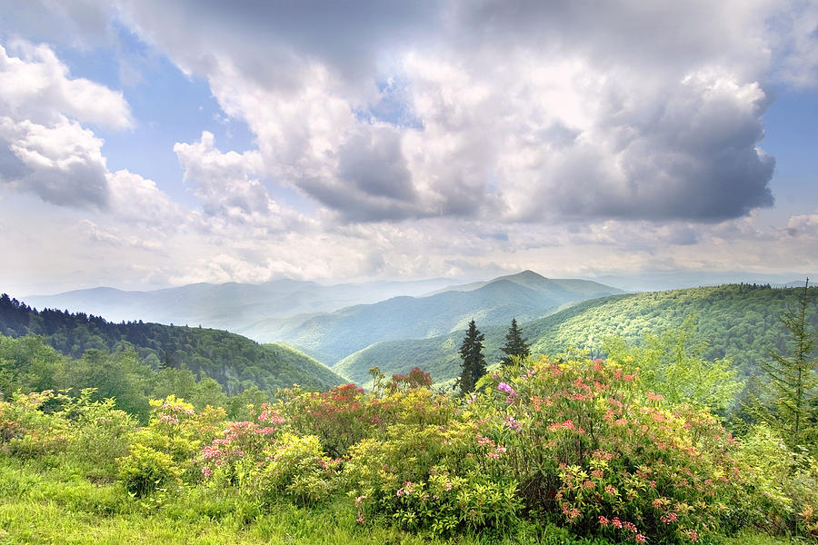 Blue Ridge Parkway - Summer Masterpiece Photograph by Susan Stanton