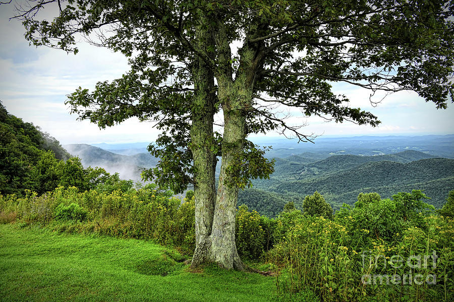 Blue Ridge Parkway - Summer View - Floyd Virginia  Photograph by Kerri Farley