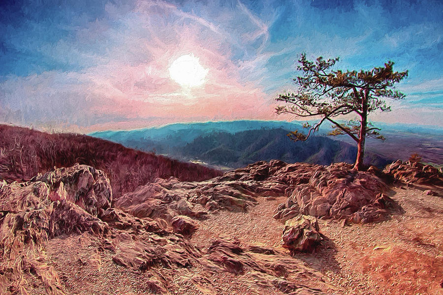 Blue Ridge Rocky Hilltop and Tree at Sunset AP Digital Art by Dan Carmichael