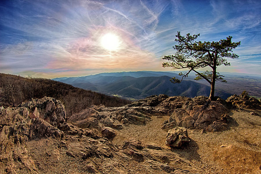 Blue Ridge Rocky Hilltop and Tree at Sunset Photograph by Dan Carmichael