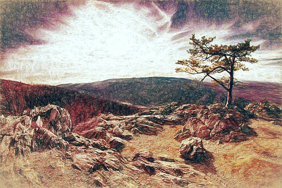 Blue Ridge Rocky Hilltop and Tree at Sunset FX Digital Art by Dan Carmichael