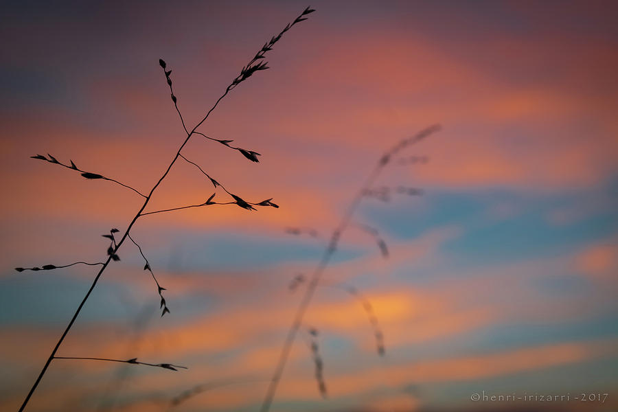 Blue Ridge Sunset  Photograph by Henri Irizarri