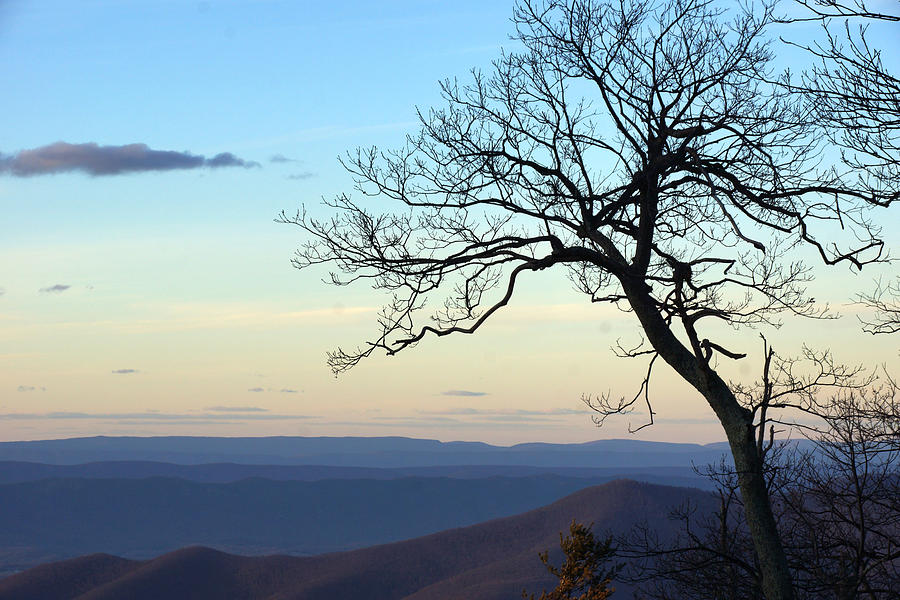 Blue Ridge Sunset Photograph by Kristie Gripp - Fine Art America