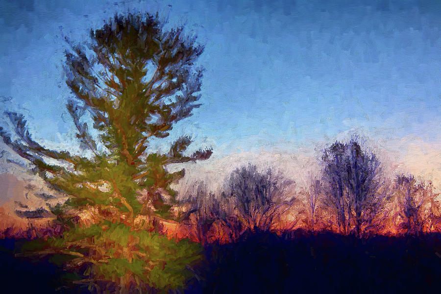 Blue Ridge Trees at Sunrise AP Painting by Dan Carmichael