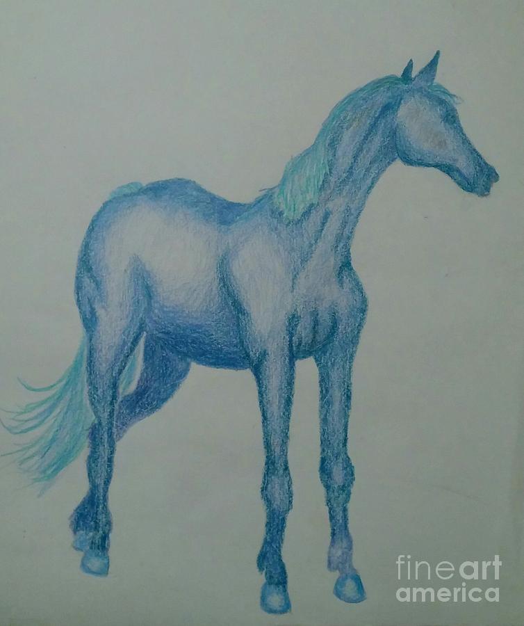 Horse Drawing - Blue River by Heather James