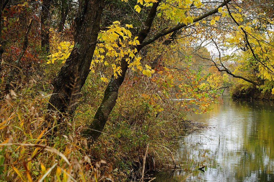 Blue river in Autumn Photograph by Iris Greenwell