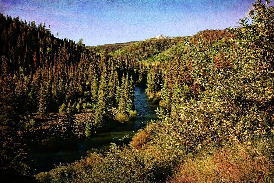 Blue River in Colorado Fall Colors Photograph by Judy Vincent