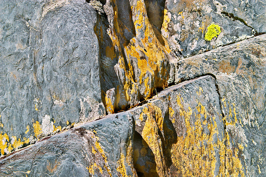 Blue Rocks and Lichen Photo Photograph by Peter J Sucy