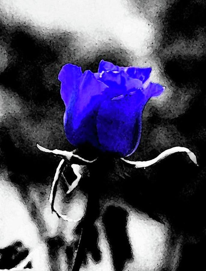 Blue Rose Painting by Bell Art