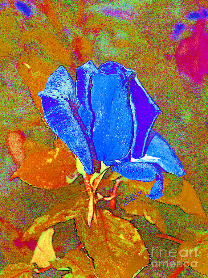 Flower Photograph - Blue rose by Art by Magdalene