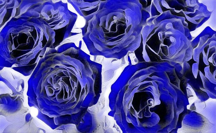 Blue Roses Photograph By Linda Blackerby - Fine Art America