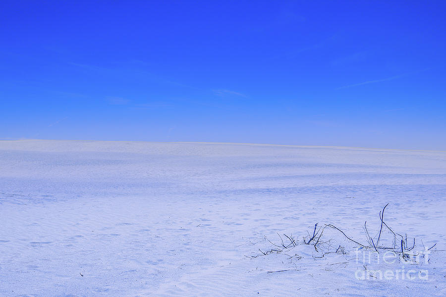 Blue Sand and Sky Jockey Ridge Photograph by Randy Steele
