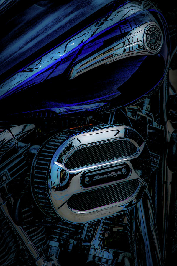 Blue Screamer 5218 H_2 Photograph by Steven Ward