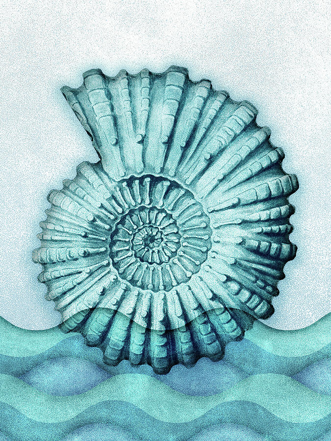 seashell artwork