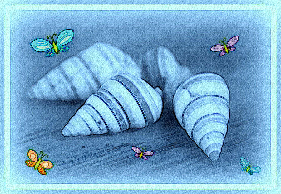Blue seashells Photograph by Linda Sannuti
