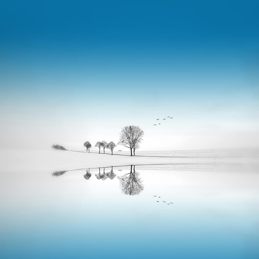 Blue Season Photograph by Philippe Sainte-Laudy