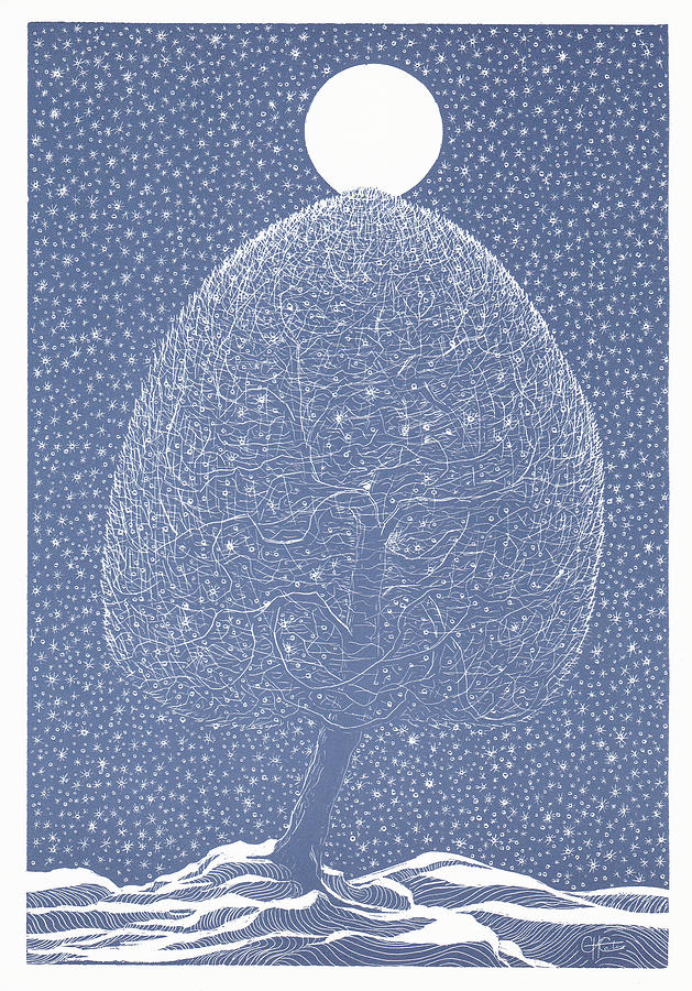 Blue Shadow Tree Drawing by Charles Cater