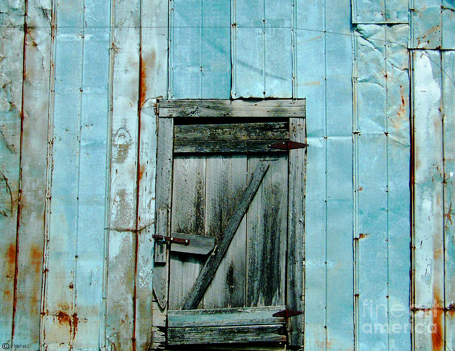 Blue Shed Door  Hwy 61 Mississippi Photograph by Lizi Beard-Ward