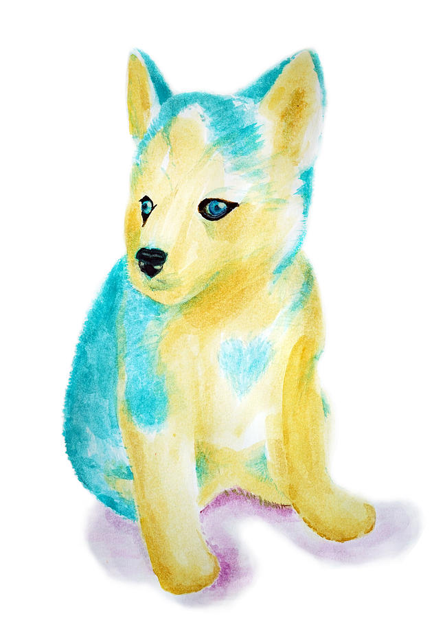 Dog Drawing - Blue Siberian Husky by Ariel Sierra
