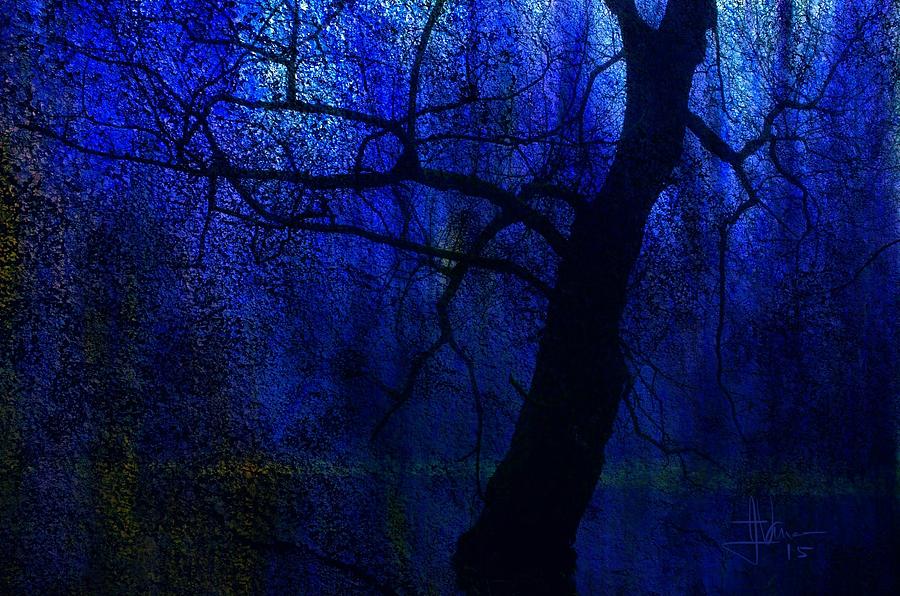 Blue Silhouette Photograph by Jim Vance