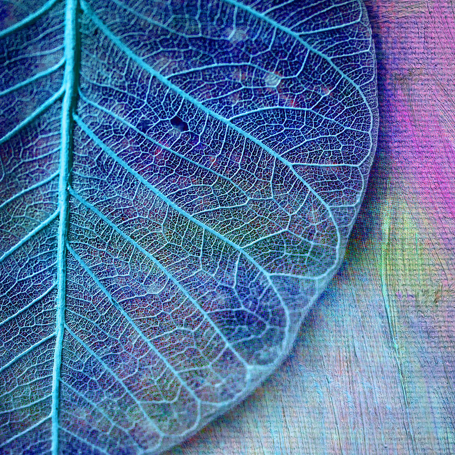 Blue Skeletal Leaf Painting by Bonnie Bruno
