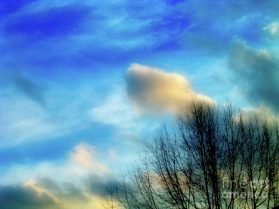 Blue Skies After the Storm Photograph by Karin Everhart