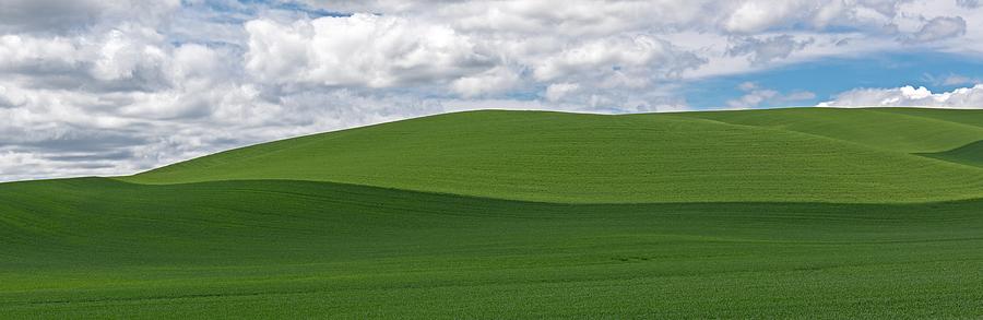 Blue Skies Meet Green in The Palouse   Washington State Photograph by Willie Harper