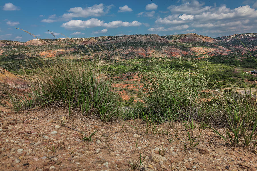 Blue Skies over Palo Duro Canyon Photograph by Judy Wright Lott