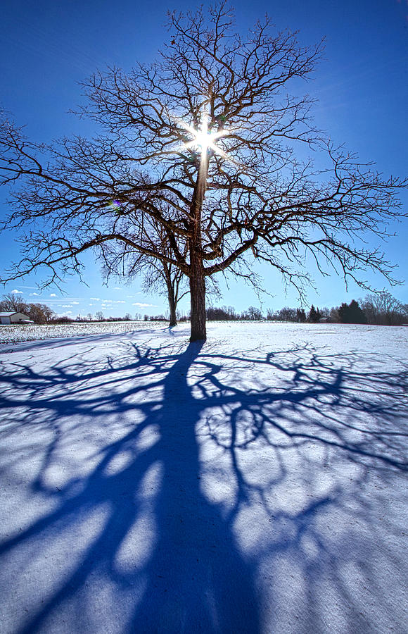 Blue Skies Smiling At Me Photograph by Phil Koch