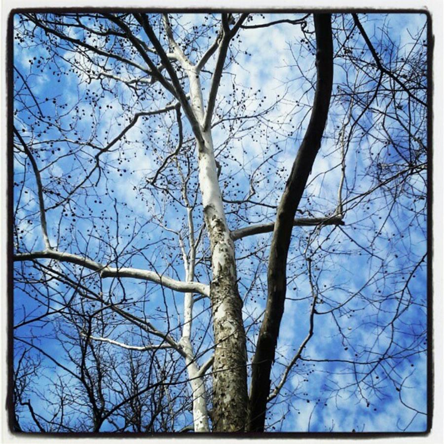 Blue Skies...shining On Me. :) Photograph by Melani Biggers