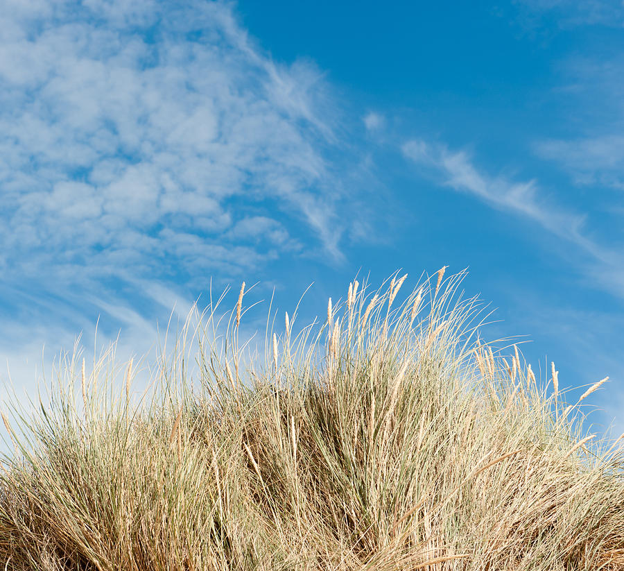 Blue Sky and Marram Grass Photograph by Helen Jackson