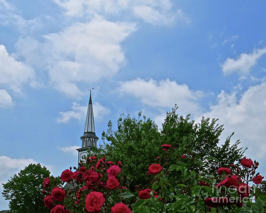 Blue Sky and Roses Photograph by Nancy Patterson