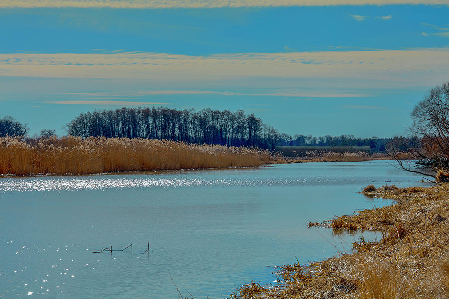 Tree Photograph - Blue sky and water #g1 by Leif Sohlman