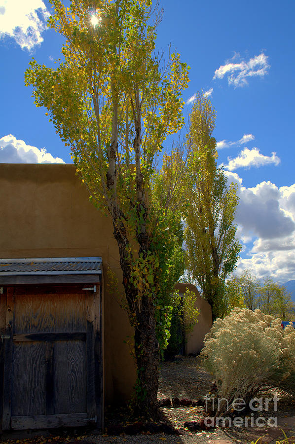 Desert Photograph - Blue Sky Casita by Anjanette Douglas