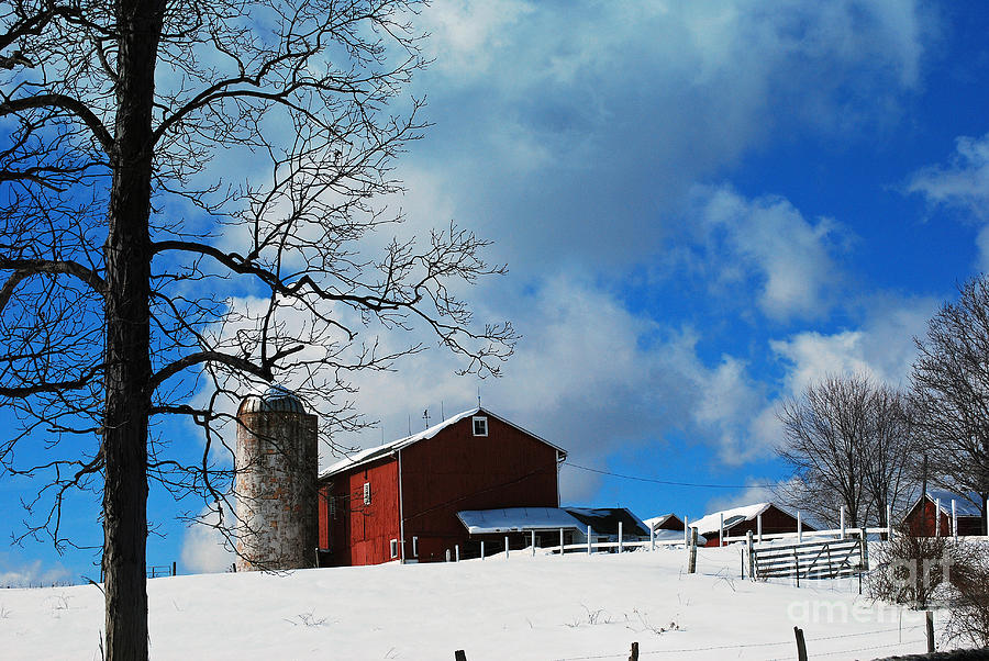Blue Sky Farm Photograph by Lila Fisher-Wenzel