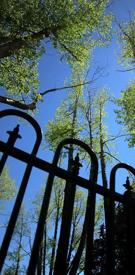 Blue Sky Fence Photograph by Jerry Sodorff