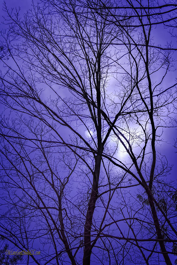 Blue Sky Photograph by LeeAnn McLaneGoetz McLaneGoetzStudioLLCcom