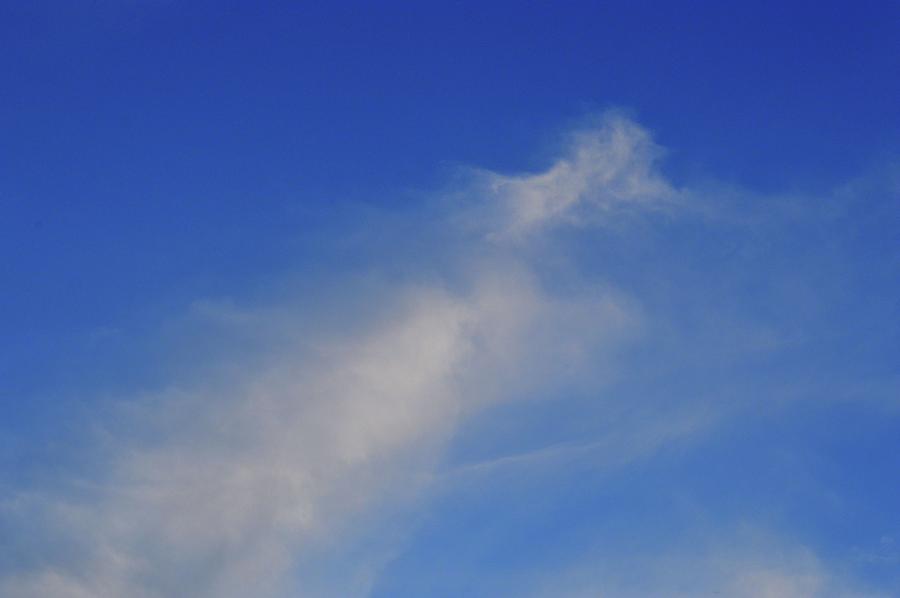 Blue Sky Little Cloud  Photograph by Lyle Crump