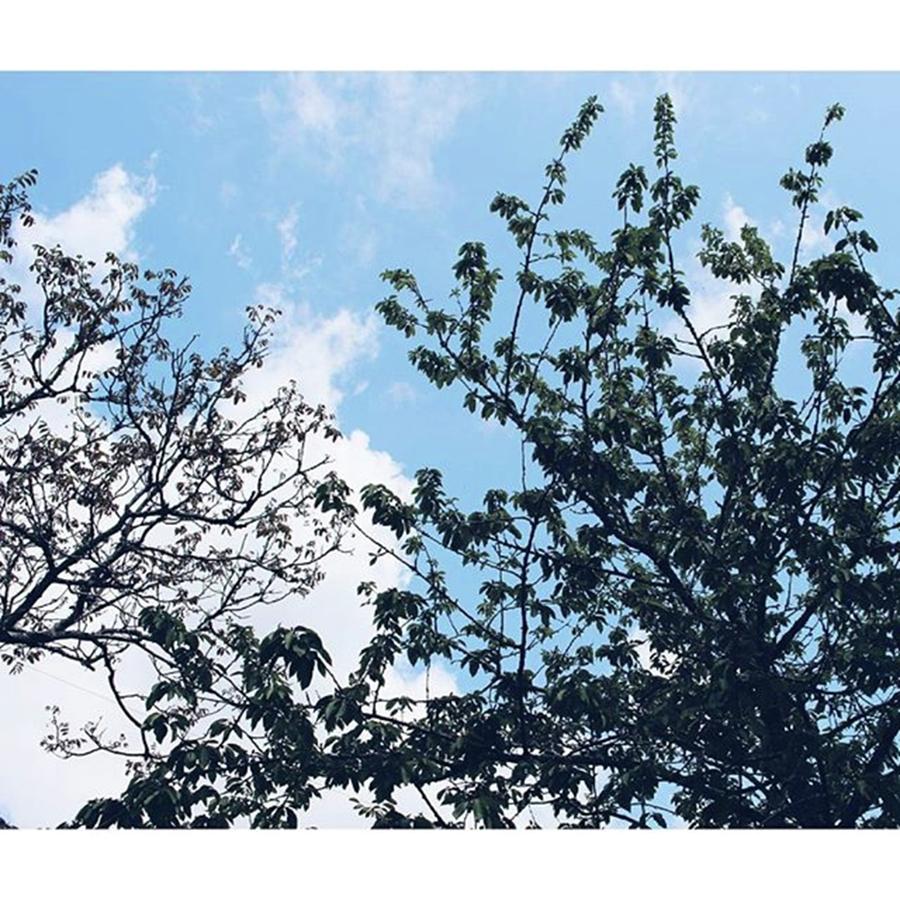 Blue Sky Makes Me Happy 🌞 Photograph by Kati Pereira