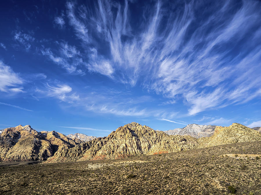 Blue Sky Nevada Photograph by Martin Gollery